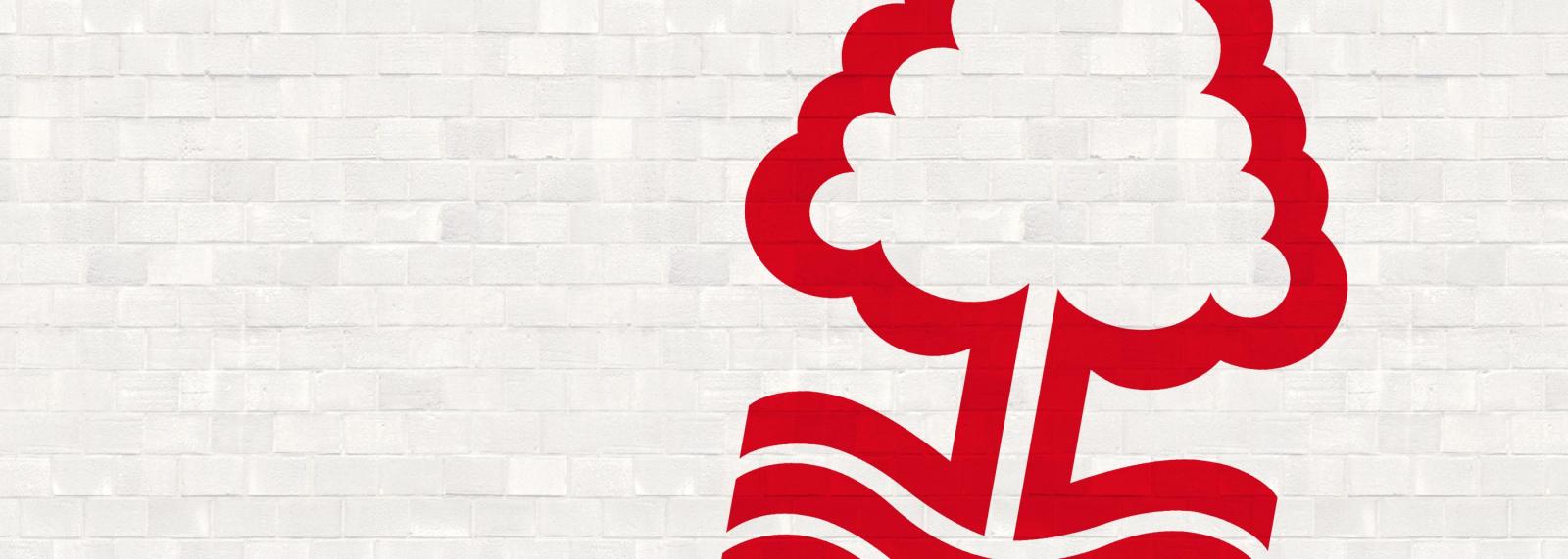3 Things We Learnt From Nottingham Forest’s Dismal 2015/16 Season