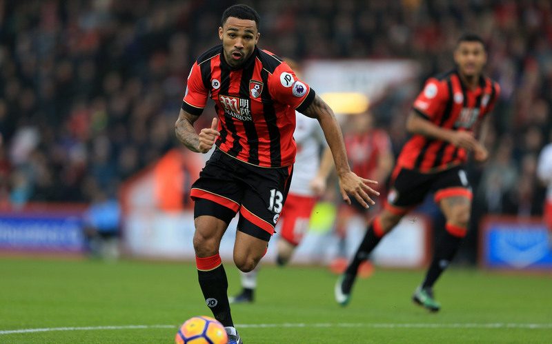 Bournemouth’s Callum Wilson ruled out for season with ACL injury